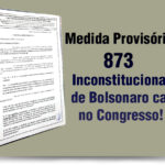 mp873_cai
